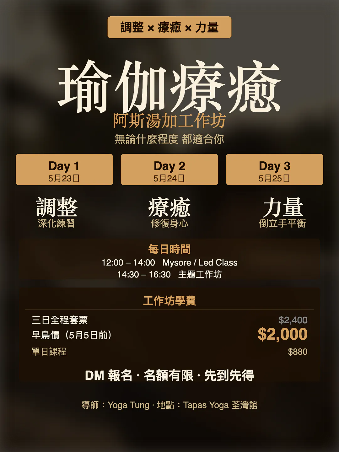 Yoga Cikitsā Ashtanga Workshop details