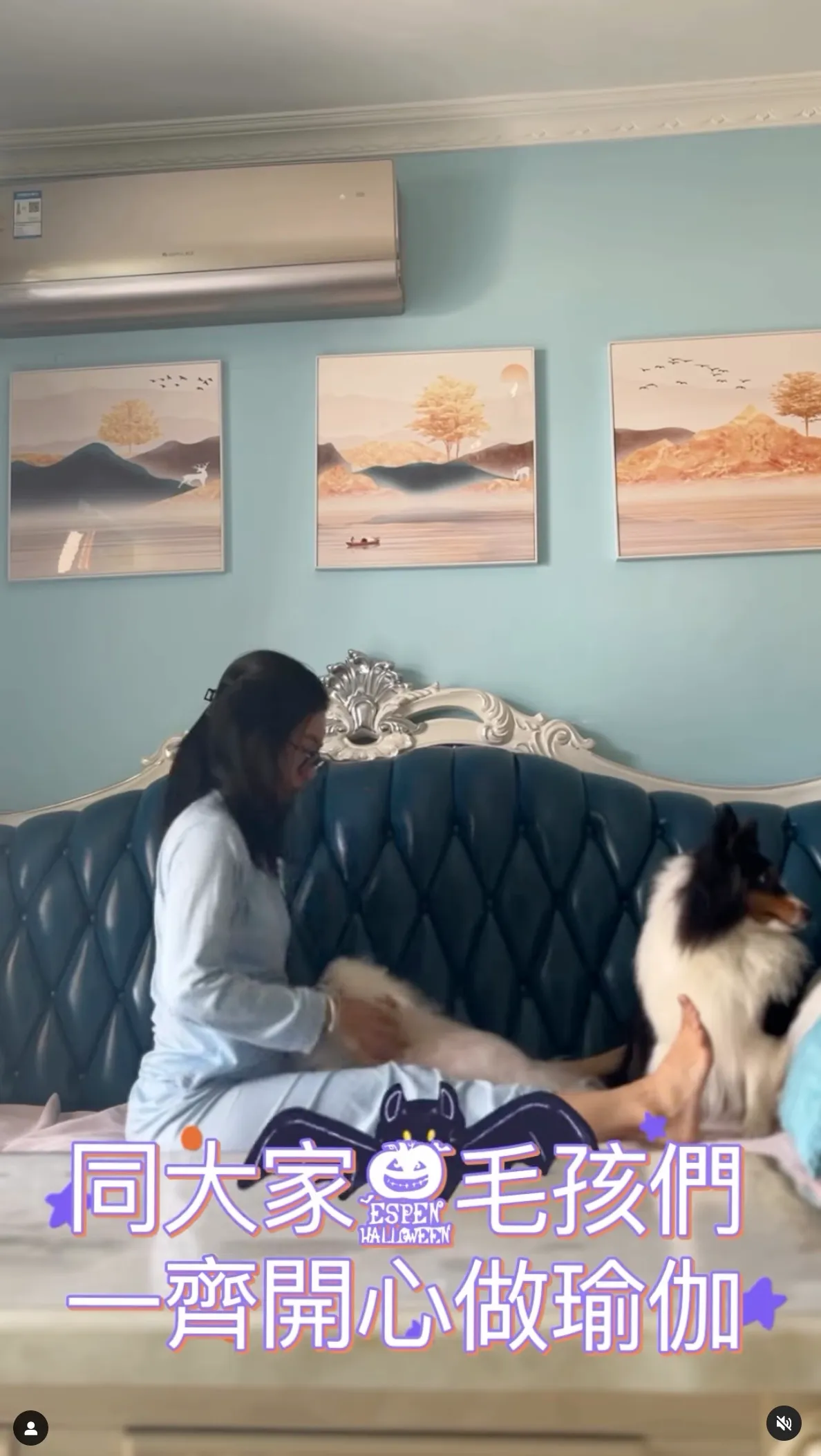 南豐紗廠寵物瑜伽體驗課